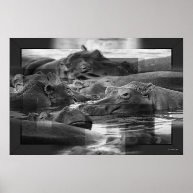 Póster Imprimir hipopótamo (Frente)