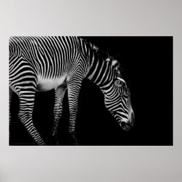 Póster Imprimir lenguaje corporal