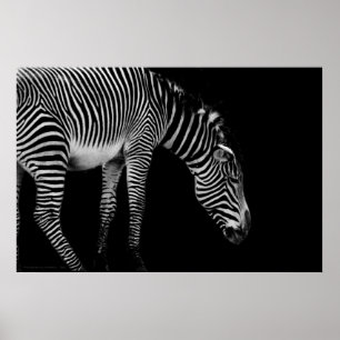 Póster Imprimir lenguaje corporal