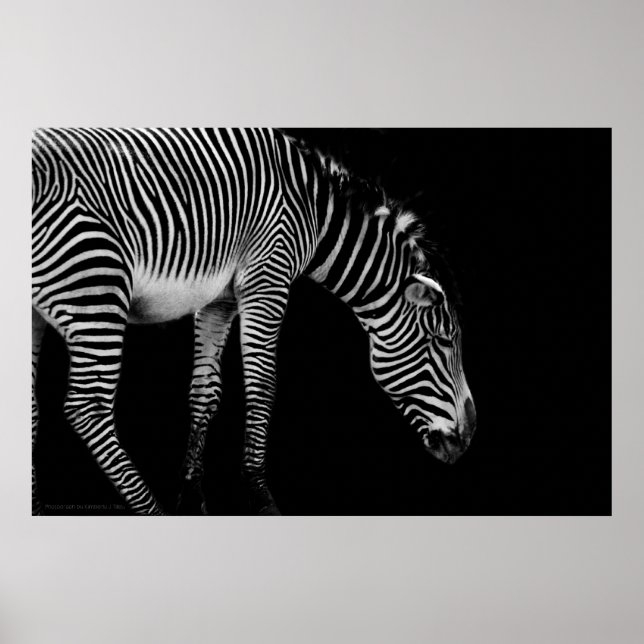 Póster Imprimir lenguaje corporal (Frente)