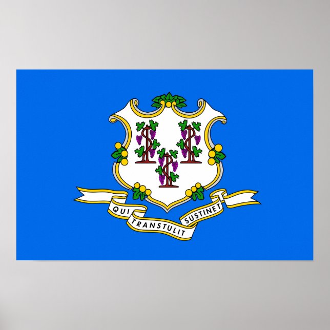Póster Imprimir lienzo con bandera de Connecticut, EE.UU. (Frente)
