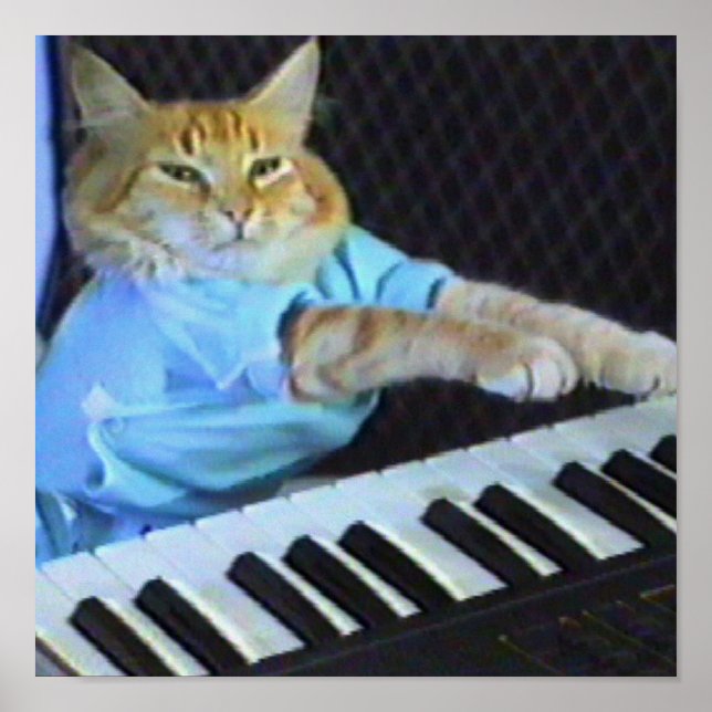 Póster Imprimir lienzo para gatos de teclado! (Frente)