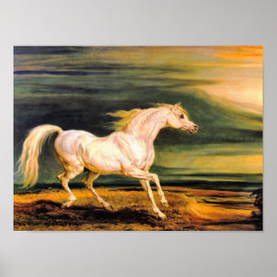 Póster Imprimir: Marengo de Napoleón