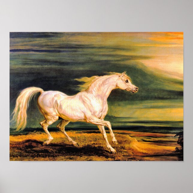 Póster Imprimir: Marengo de Napoleón (Frente)