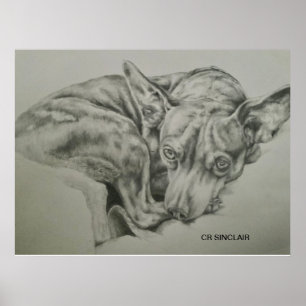 Póster Imprimir, mate )MEET SAM por CR Sinclair