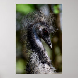 Póster Imprimir, papel Poster de valor (mate)