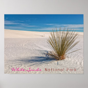 Póster Imprimir, papel Poster de valor (mate)