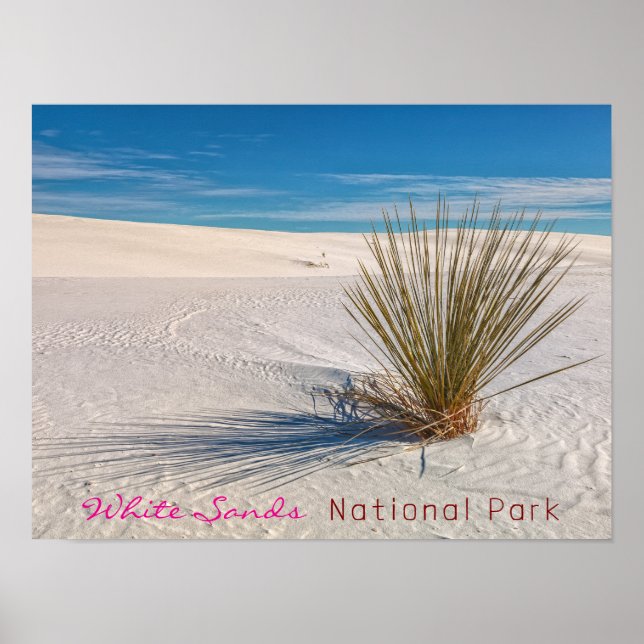 Póster Imprimir, papel Poster de valor (mate) (Frente)