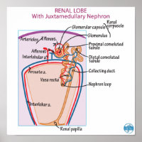Imprimir, papel Poster de valor (mate)
