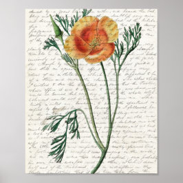 Póster Imprimir, papel Poster de valor (mate)