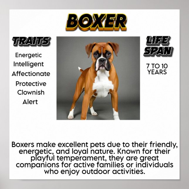 Póster Imprimir, papel Poster de valor (mate) (Frente)