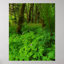 Imprimir, papel Poster de valor (mate)