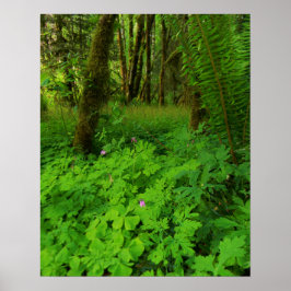 Póster Imprimir, papel Poster de valor (mate)