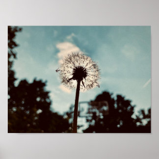 Póster Imprimir, papel Poster de valor (mate)