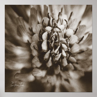 Póster Imprimir, papel Poster de valor (mate)