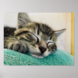 Póster Imprimir, papel Poster de valor (mate)