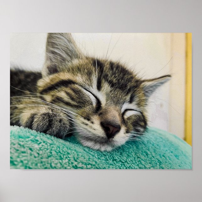 Póster Imprimir, papel Poster de valor (mate) (Frente)