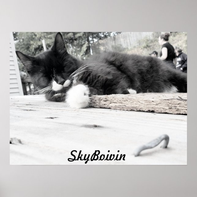 Póster Imprimir, papel Poster de valor (mate) (Frente)