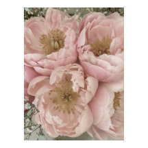 IMPRIMIR | Peonies I - 24 pulgadas x 32 pulgadas
