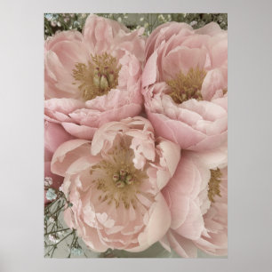 Póster IMPRIMIR   Peonies I - 24 pulgadas x 32 pulgadas