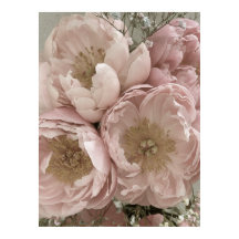 IMPRIMIR | Peonies II - 24 pulgadas x 32 pulgadas