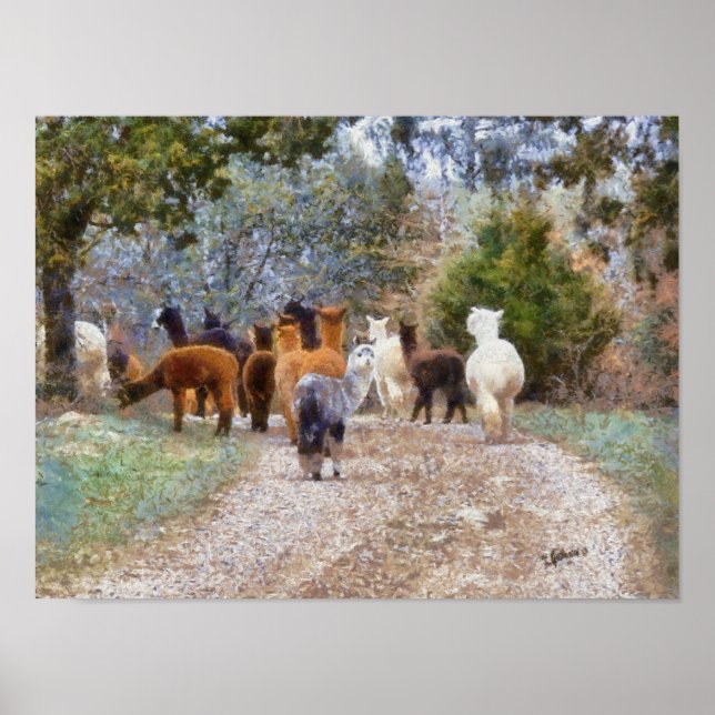 Póster Imprimir pintura digital de Alpacas (Frente)