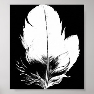 Póster Imprimir plumas