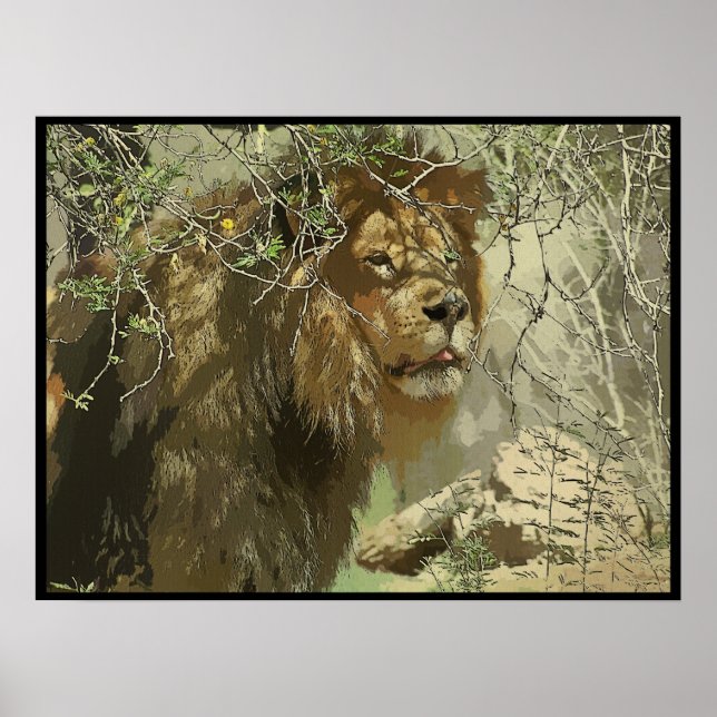 Póster Imprimir - Rey de la jungla (Frente)