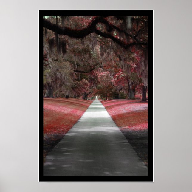 Póster Imprimir ruta (Frente)