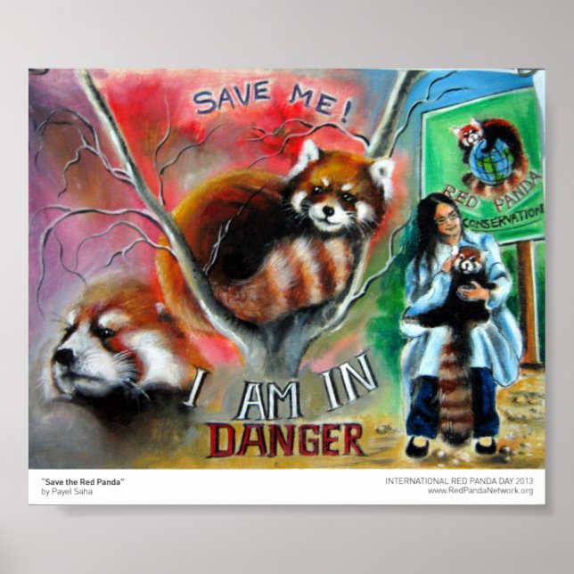 Póster Imprimir "Save the Red Panda" (Frente)