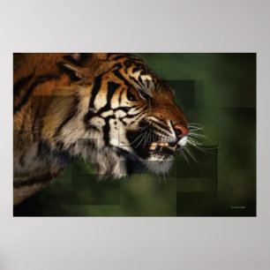 Póster Imprimir tigre