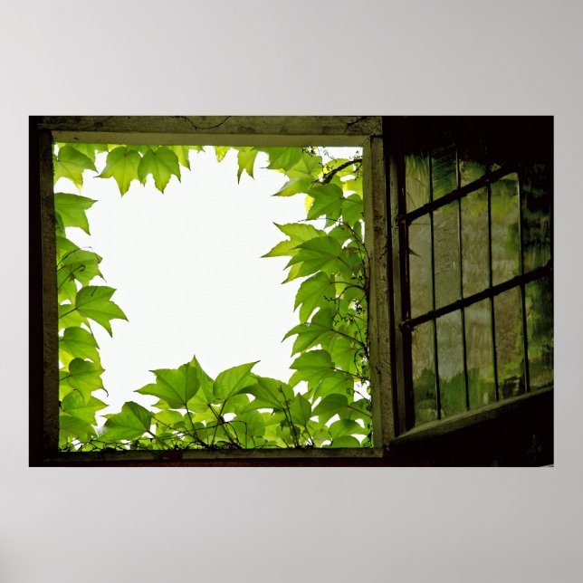 Póster Imprimir ventana (Frente)