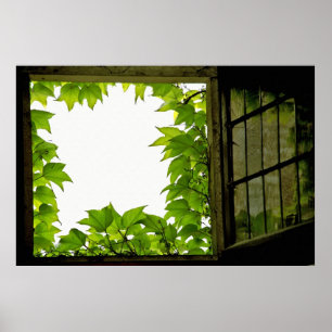 Póster Imprimir ventana