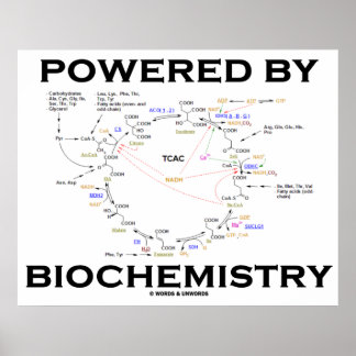 Póster Impulsado Por Bioquímica (Ciclo Krebs)