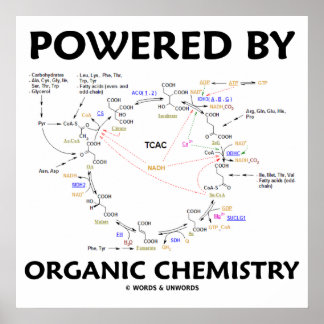 Póster Impulsado Por La Química Orgánica Krebs Cycle Humo