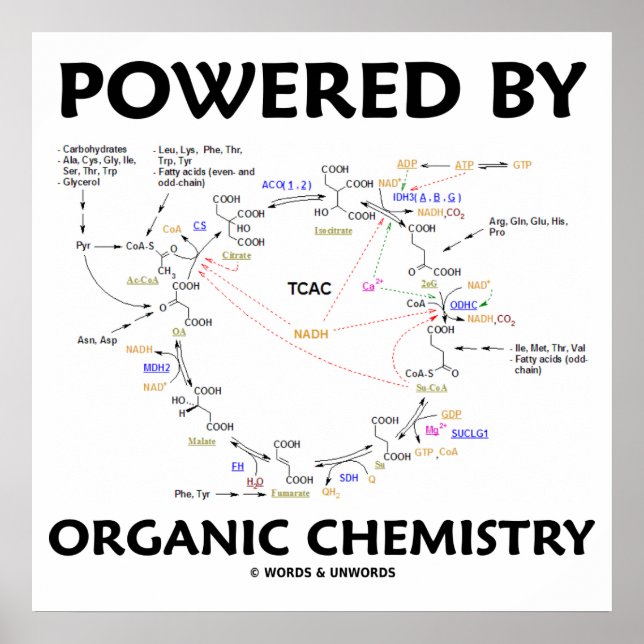 Póster Impulsado Por La Química Orgánica Krebs Cycle Humo (Frente)