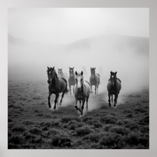 Póster Impulso majestuoso de carbón de carbón de caballo 