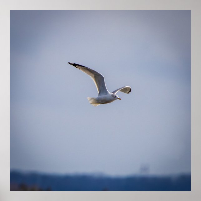 Póster In Flight (Frente)