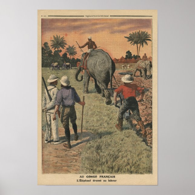Póster In French Congo, elephant trained to ploughing (Frente)
