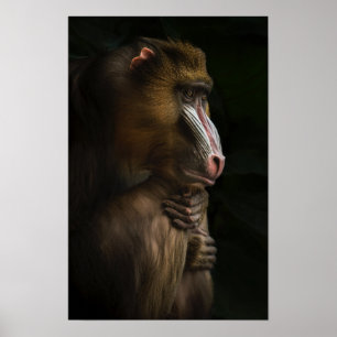 Póster In His Thoughts