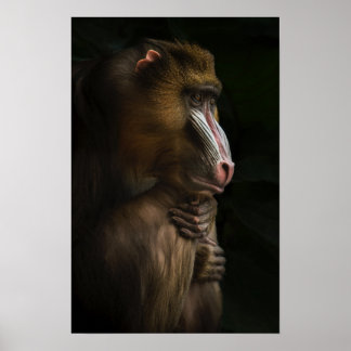 Póster In His Thoughts