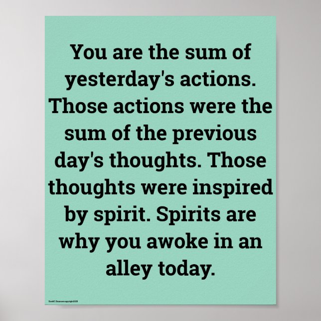 Póster "In moderation", funny, humor, joke (Frente)