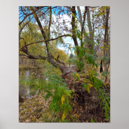 Póster In the Absence of Music