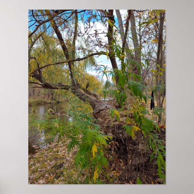 Póster In the Absence of Music (Frente)