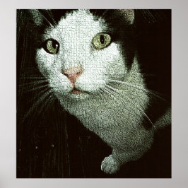 Póster  In Your Face Bob