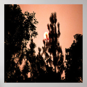 Póster Incendio en el Valle de la India.........