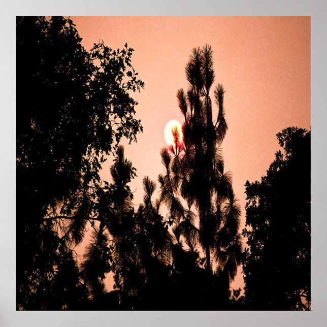 Póster Incendio en el Valle de la India......... (Frente)