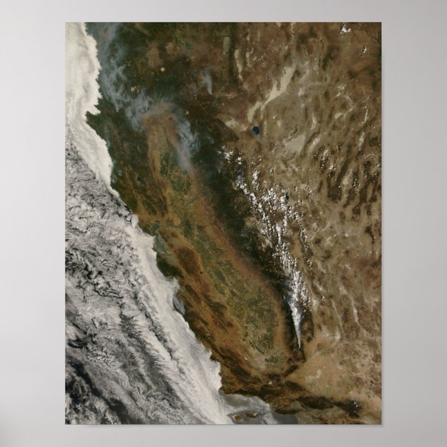 Póster Incendios en California (Frente)