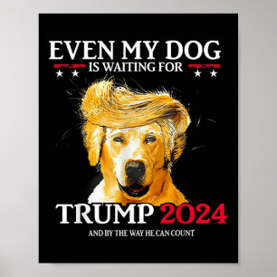 Póster Incluso Mi Perro Está Esperando A Que Trump 2024 S