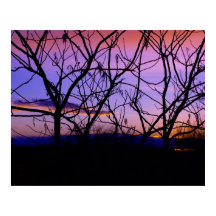 Increíble atardecer morado con siluetas de árbol